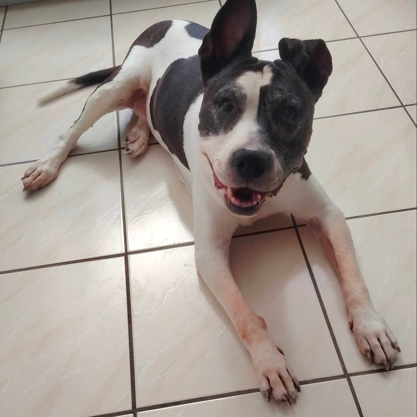 Xena