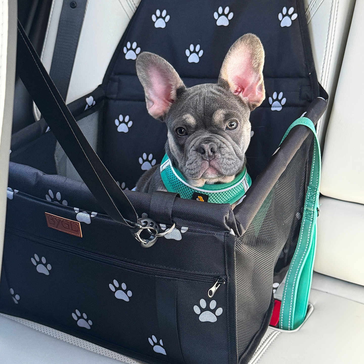 Oliver