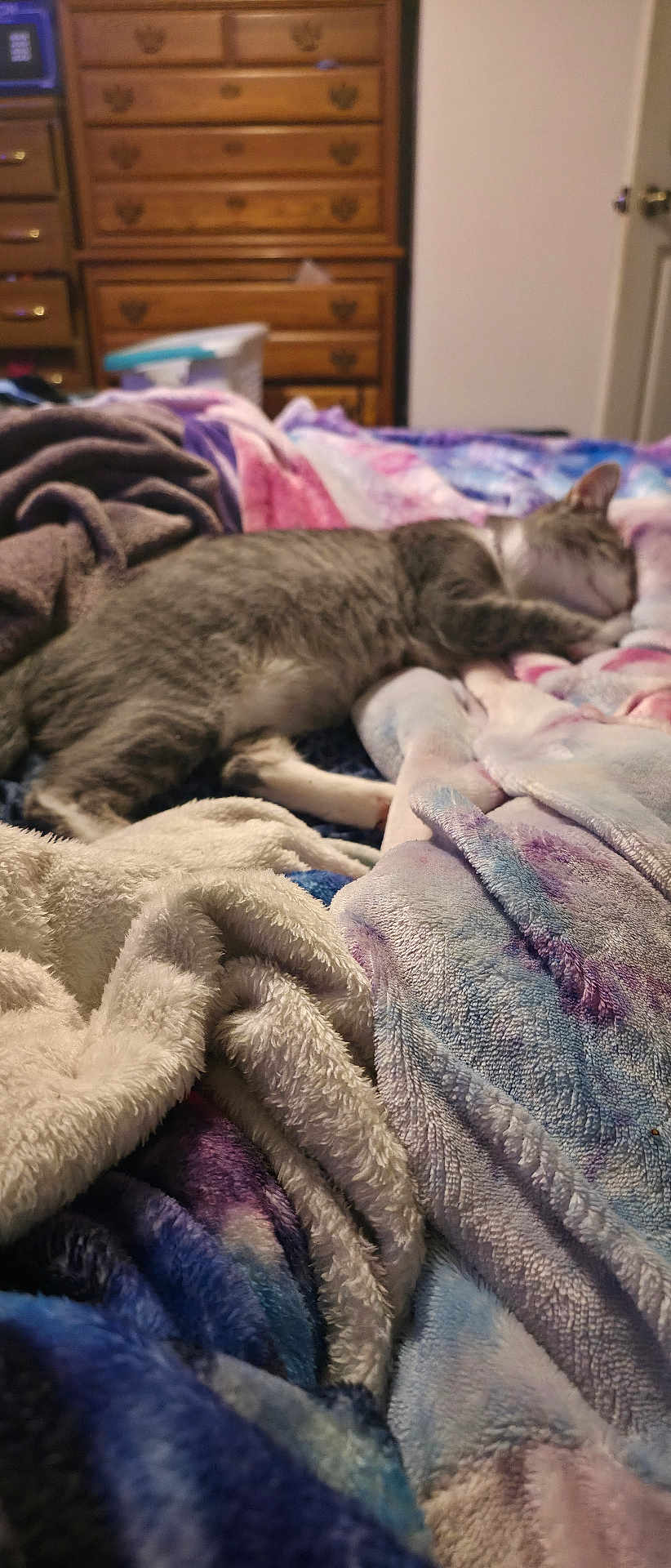 Willow