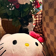Oreo joined the competition — help win amazing prizes! kitten, hello_kitty, plush_toy, flowers, artificial_flowers, basket, fabric, patterned_fabric, indoor, cute, black_and_white_cat, toy, decor, close_up, soft_toy, pet, curious, small_animal, domestic_cat, feline
