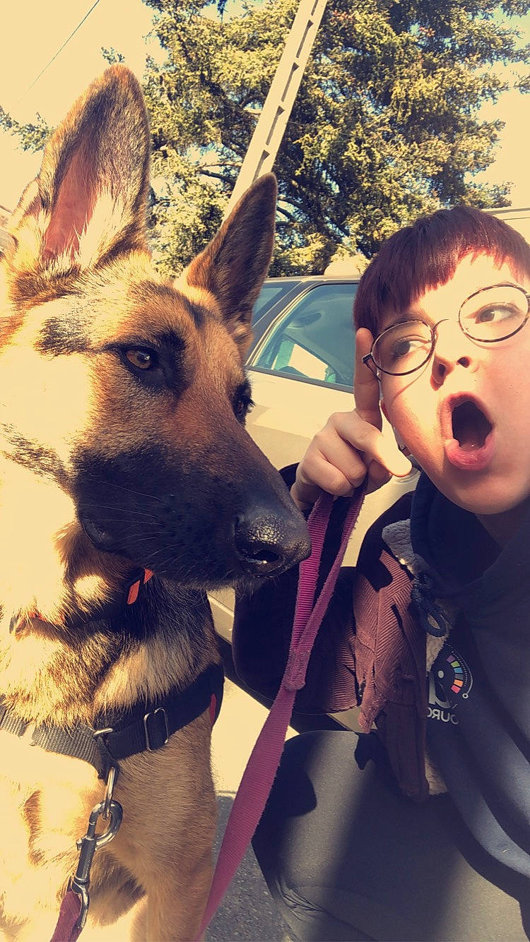 Oushka participe au concours pour gagner de l'argent avec cette photo : belgian_shepherd_malinois, canidae, carnivore, cool, dog, dog_breed, ear, fawn, german_shepherd_dog, head, human, jaw, love, nose, photobombing, photography, police_dog, selfie, snout