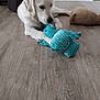 dog, white_dog, plush_toy, turquoise_toy, octopus_toy, floor, wooden_floor, indoor, pet, playing, chewing, animal, canine, beige_toy, toy, relaxed, home, minimalistic, modern, cute