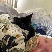 Olenna joined the competition — help win amazing prizes! baby, pacifier, sleeping, black_kitten, kitten, animal, pet, blanket, leaf_pattern, bed, cozy, cute, child, indoor, resting, comfort, soft, young, face, sleep