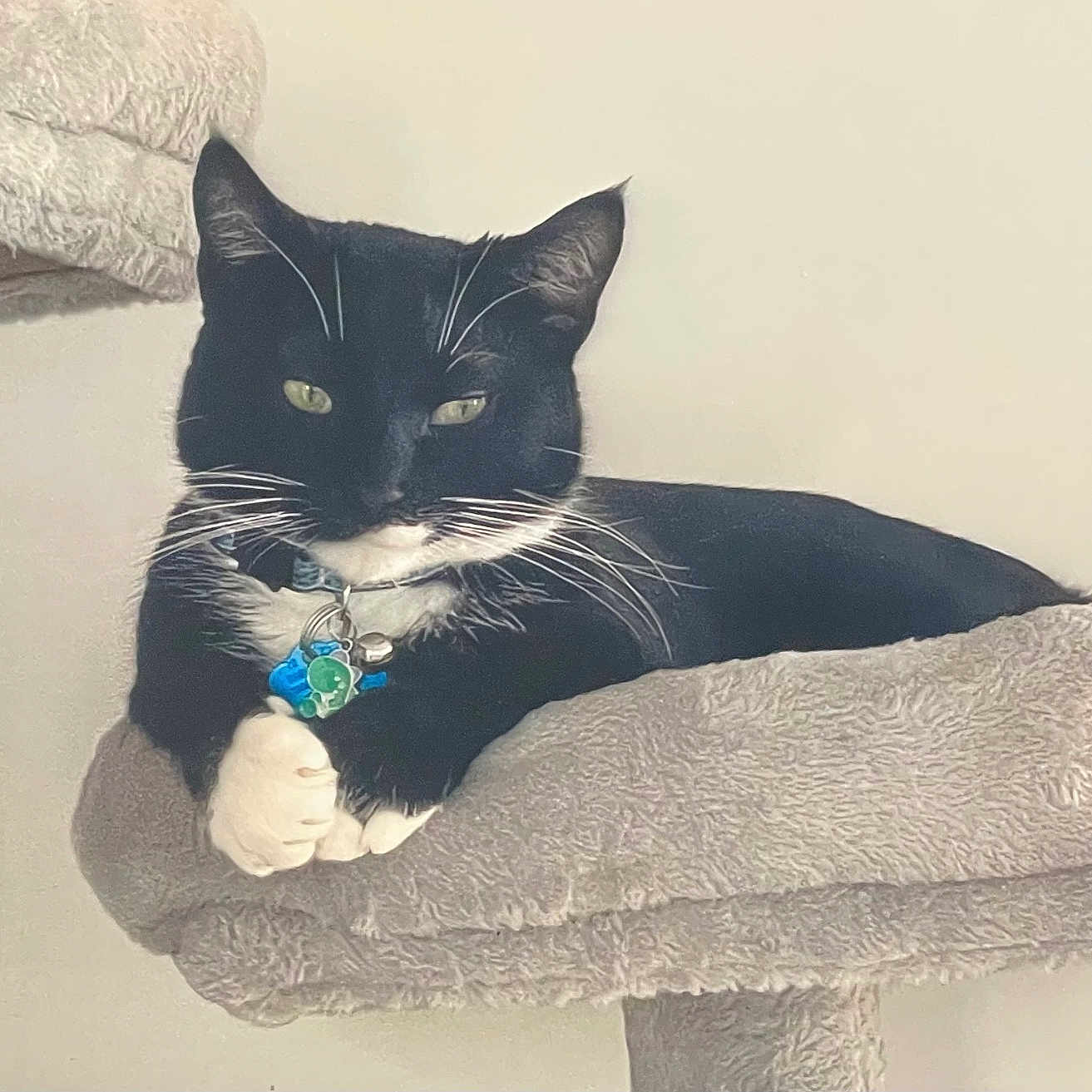 Sylvester