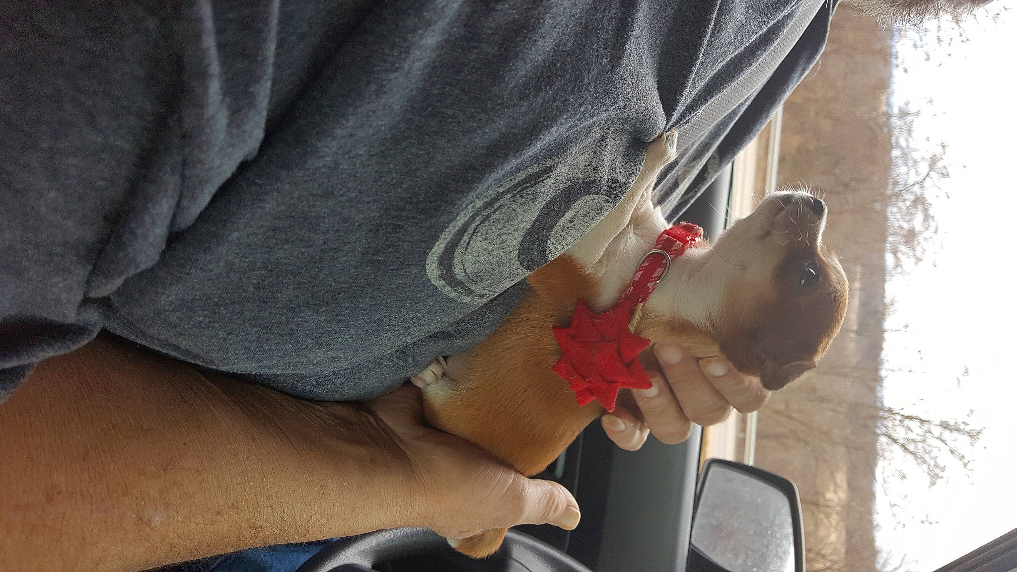 Holly is registered to the contest to win money with this photo: auto_part, automotive_exterior, automotive_mirror, carmine, elbow, eyewear, family_car, fish, food, fruit, gesture, hand, mirror, nail, sleeve, stuffed_toy, thumb, vehicle_door, wood, wrist