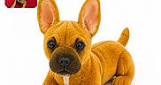 Lucci participe au concours pour gagner de l'argent avec cette photo : dog, puppy, french_bulldog, orange, lying_down, front_facing, large_ears, black_nose, brown_eyes, white_background, studio_photo, pet, animal, toy_like, plush, website, screenshot, browser, advertisement, portrait