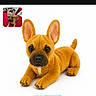dog, puppy, french_bulldog, orange, lying_down, front_facing, large_ears, black_nose, brown_eyes, white_background, studio_photo, pet, animal, toy_like, plush, website, screenshot, browser, advertisement, portrait
