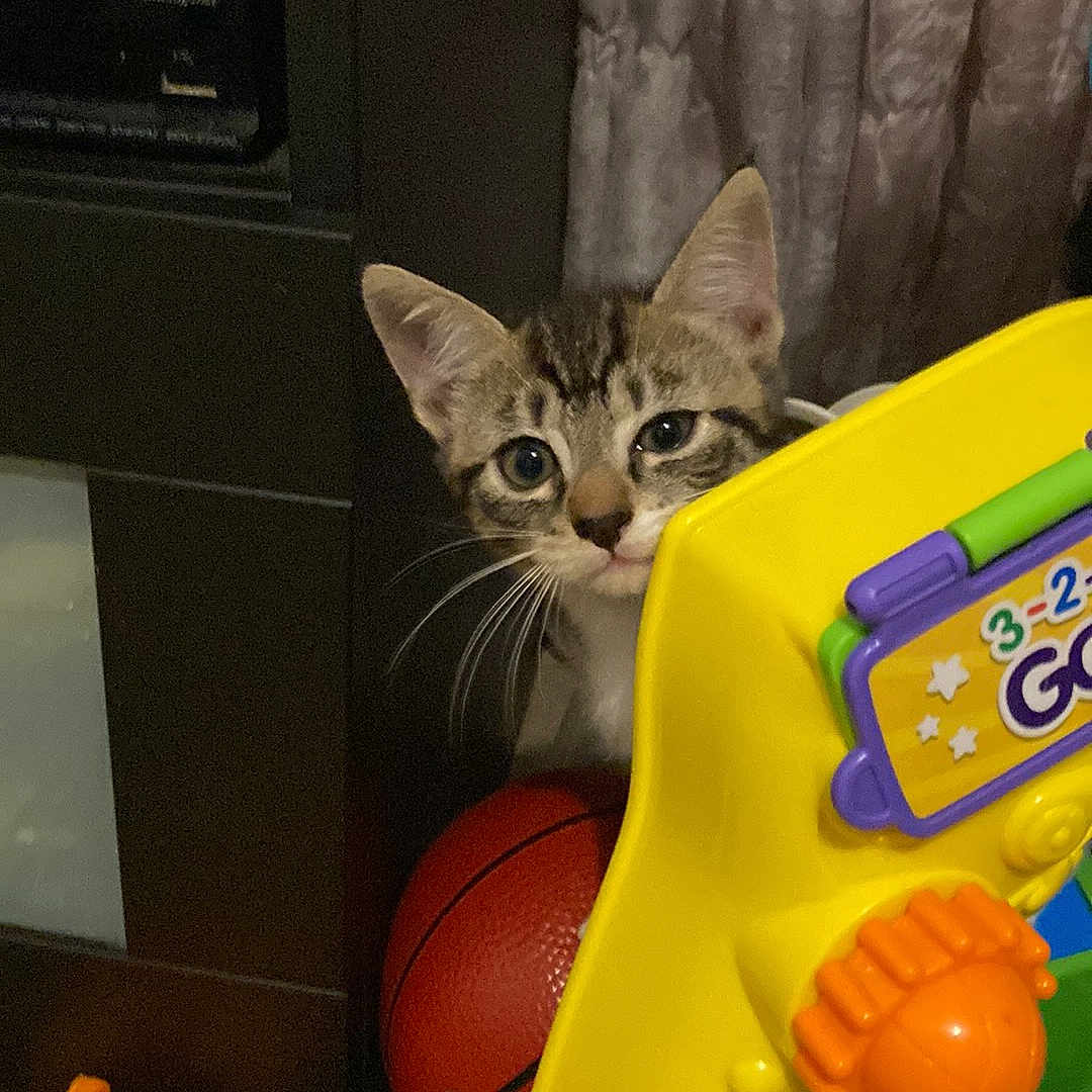 Tina
