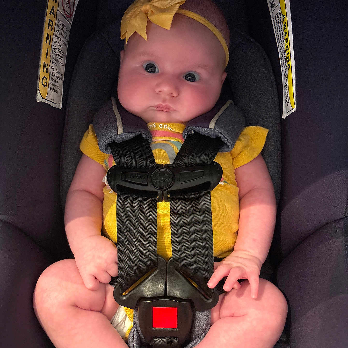 Ainsley is registered to the contest to win money with this photo: baby, car_seat, child, child_safety, chubby_cheeks, closeup, cute, expression, headband, indoor, infant, infant_girl, pink_skin, portrait, safety_harness, seatbelt, sitting, wide_eyes, yellow_bow, yellow_clothing