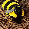 black_cat, cat, bumblebee_costume, bee_costume, yellow_stripes, wings, pet, animal, feline, indoor, carpet, textured_background, costume, funny, portrait, sitting, green_eyes, black_fur, domestic_cat, playful