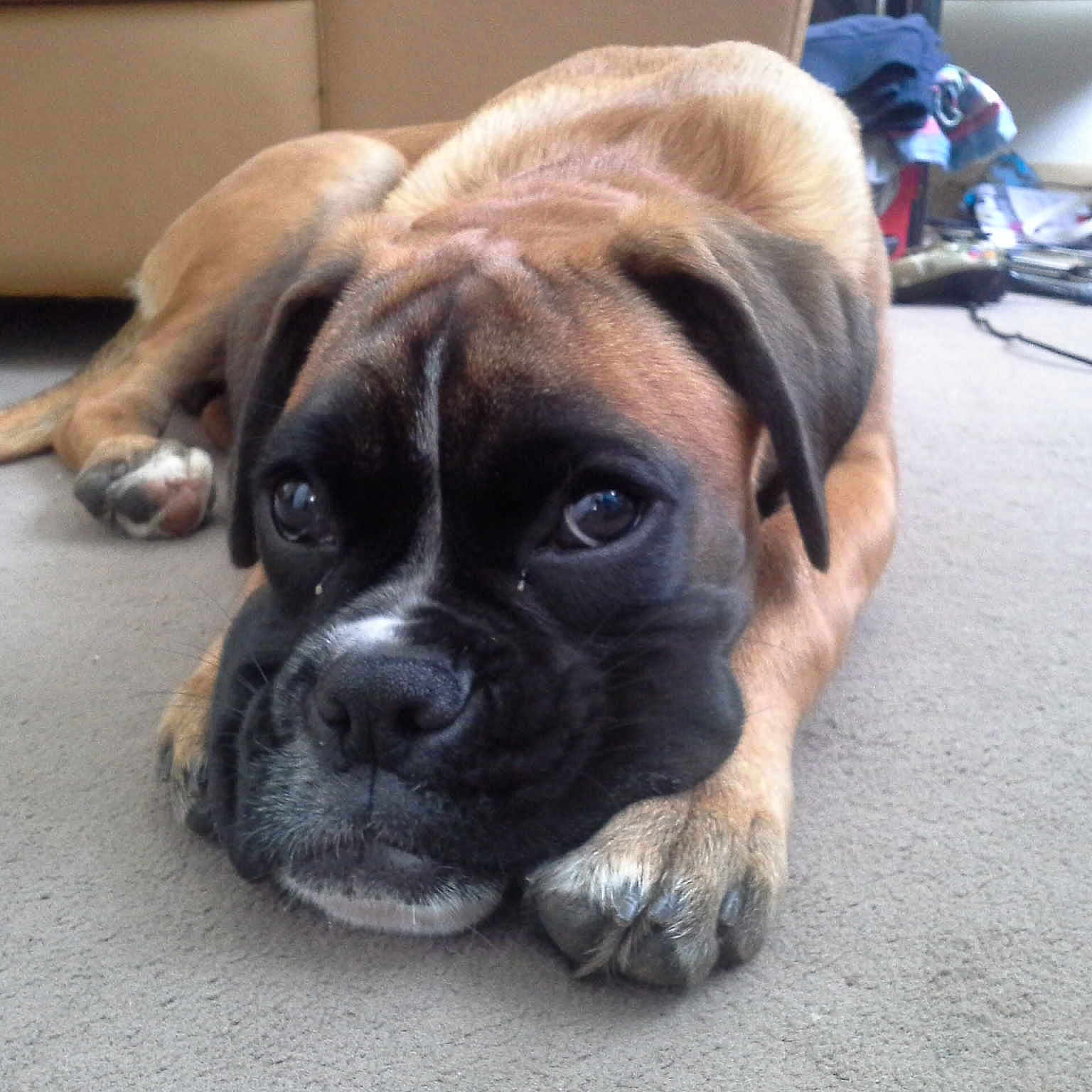 Sky joined the competition — help win amazing prizes!