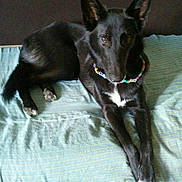 Dam's participe au concours pour gagner de l'argent avec cette photo :