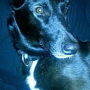 Dam's a rejoint le concours — aidez-le/la à gagner de superbes lots !