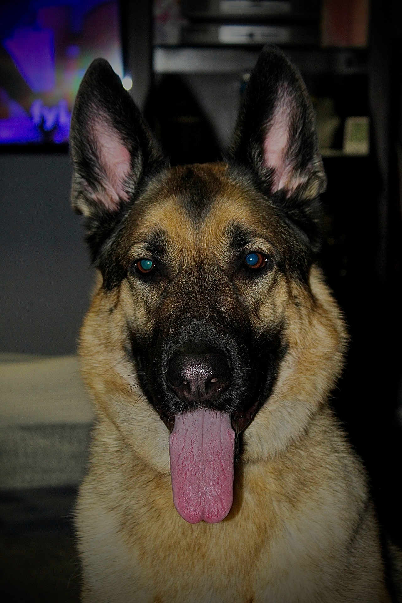 Mattis