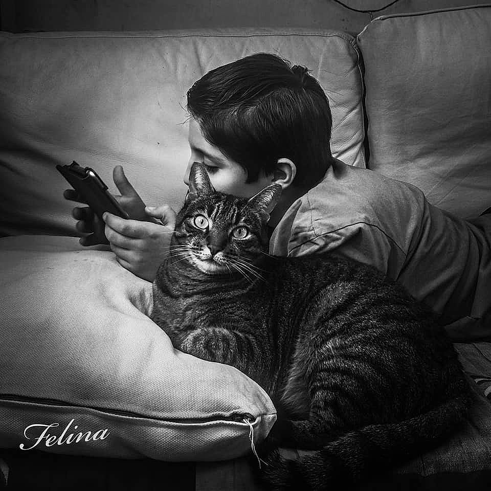 Scarlet a rejoint le concours — aidez-le/la à gagner de superbes lots ! black, black_and_white, cat, hand, human, monochrome, monochrome_photography, photography, style, tattoo, tattoo_artist