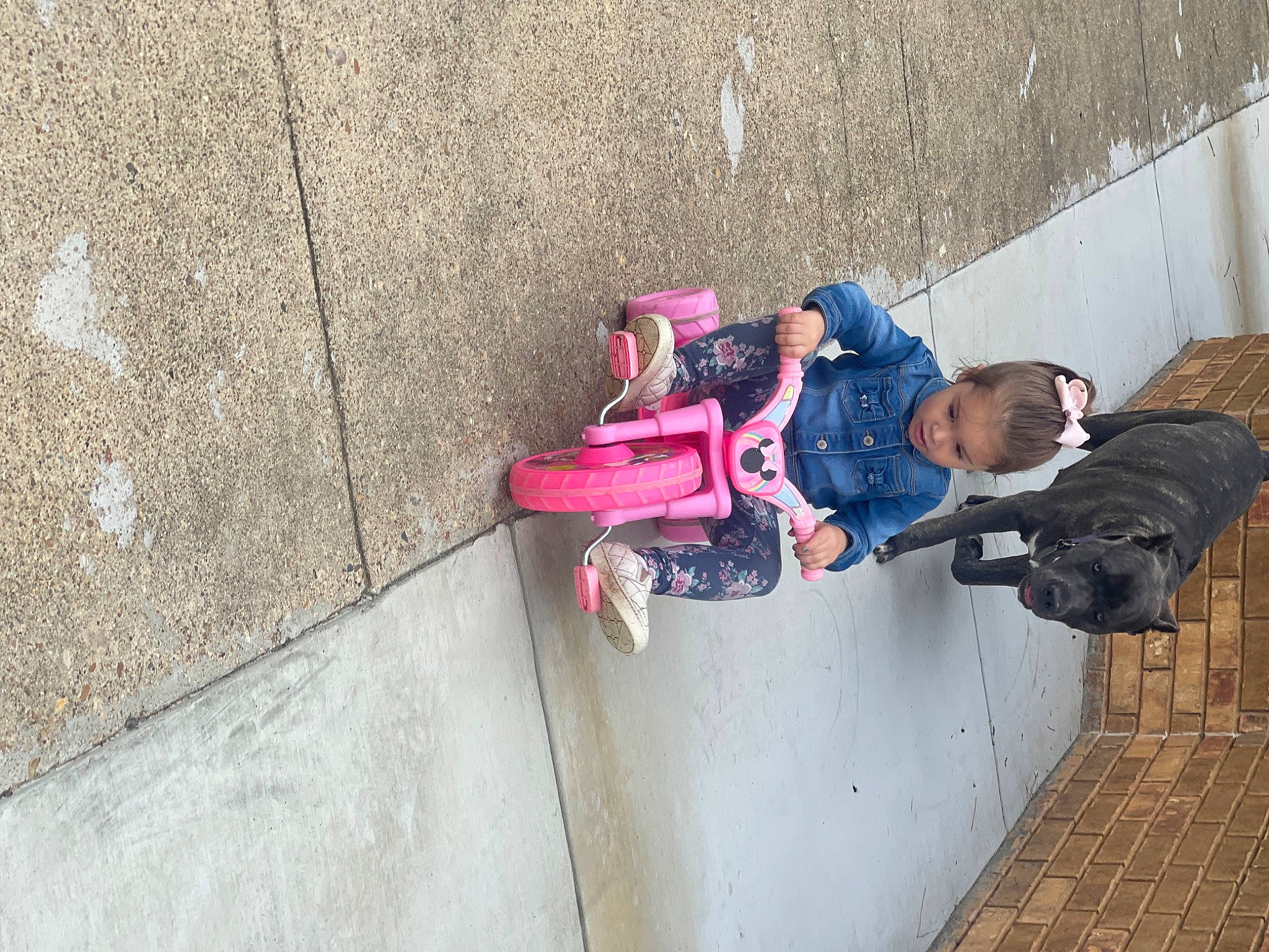 Ember is registered to the contest to win money with this photo: asphalt, child, concrete, fun, leisure, luggage_and_bags, magenta, outdoor_shoe, pedestrian, person, recreation, road_surface, sidewalk, street, toddler, travel, tree, vacation, walking_shoe, wall