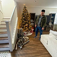 Kuma is registered to the contest to win money with this photo: carpet, casual_clothing, christmas_tree, dog, gift_wrap, holiday_decorations, home, husky, indoor, lights, living_room, man, modern_furniture, pet, presents, relaxed, sofa, stairs, window, wooden_floor