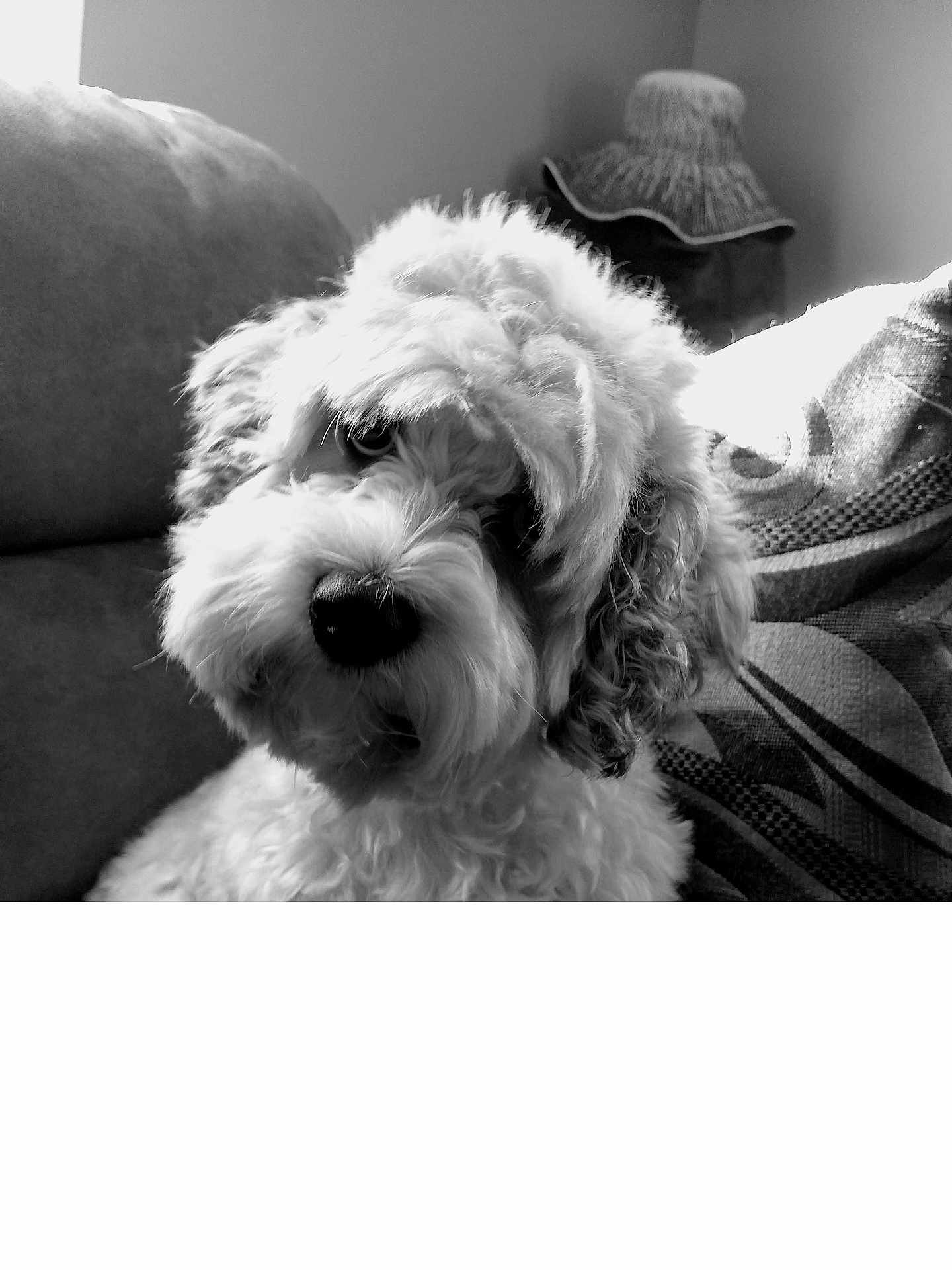 Sir Wallace
