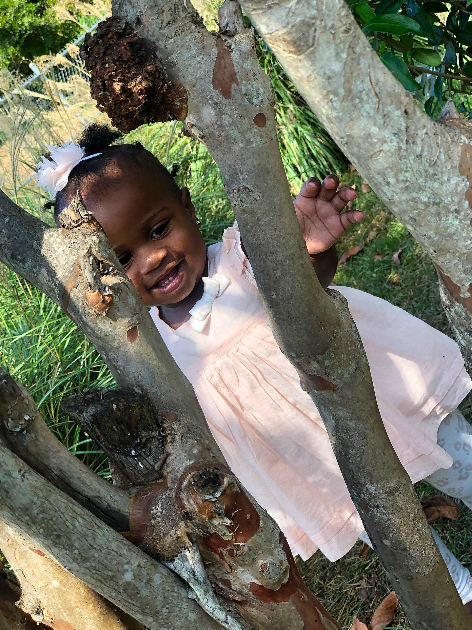 Epiphany is registered to the contest to win money with this photo: adaptation, child, joy, person, plant, smile, tree