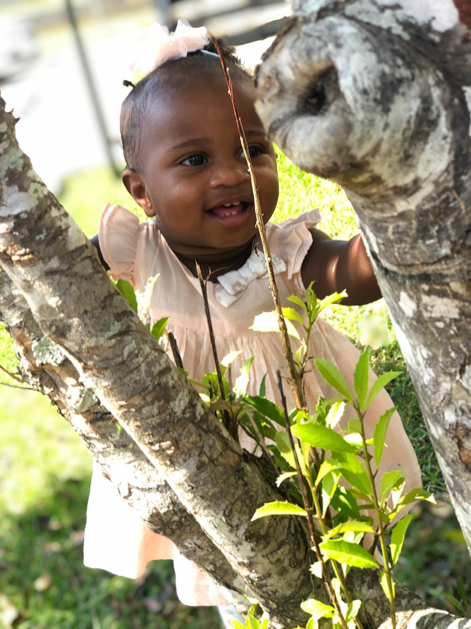 Epiphany is registered to the contest to win money with this photo: adaptation, birch_family, botany, child, person, plant, smile, tree, woody_plant