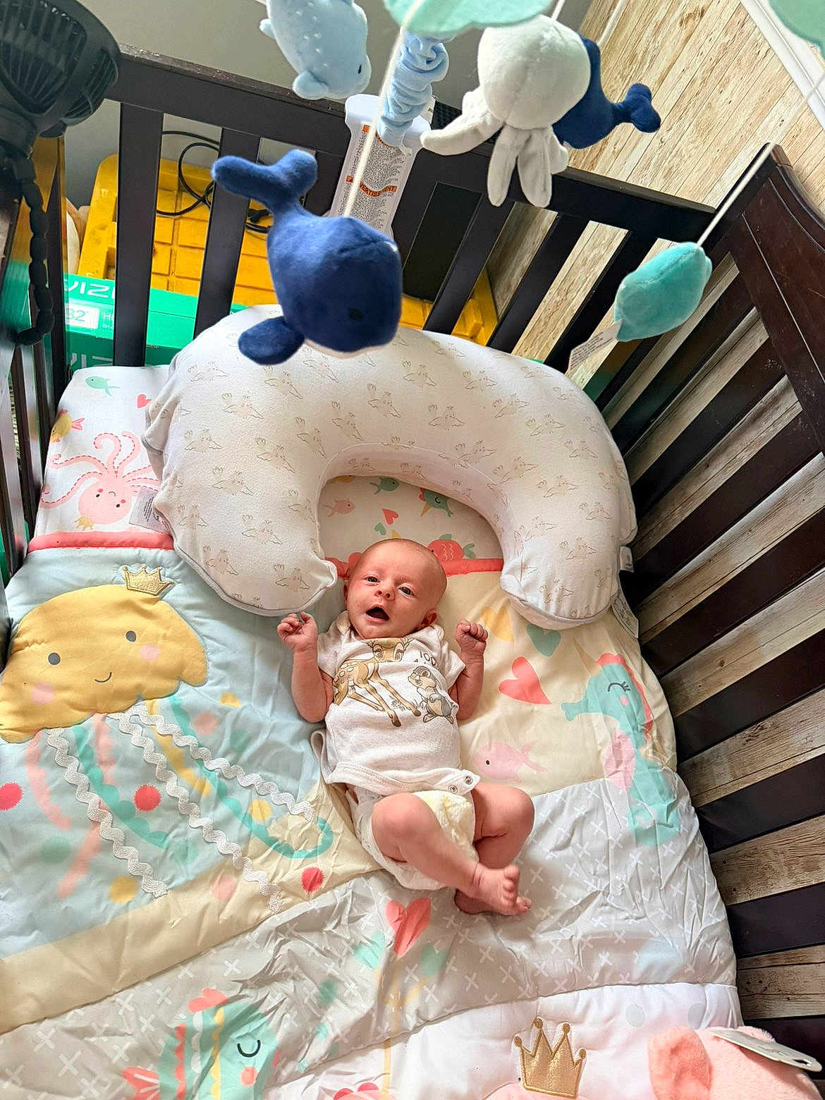 Berkeley joined the competition — help win amazing prizes! baby, crib, bedding, plush_toy, whale, octopus, pillow, diaper, infant, cute, smiling, person, wooden_crib, blanket, soft_toys, nursery, colorful, sleeping_area, infant_clothing, playful