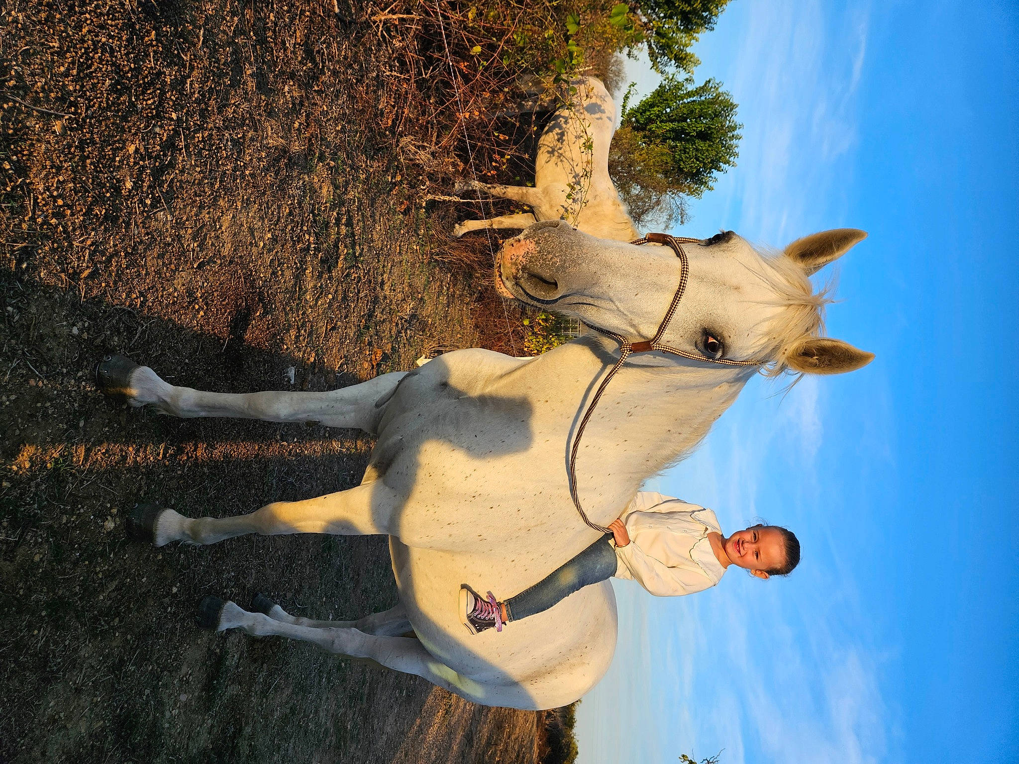 Léna participe au concours pour gagner de l'argent avec cette photo : art, elbow, fawn, gesture, happy, horse, joy, landscape, leisure, people_in_nature, person, plant, sculpture, shadow, sky, statue, sunglasses, tree, trunk, visual_arts