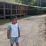 boy, casual_clothing, child, curious, daylight, forest, gravel_path, greenery, nature, outdoor, pathway, person, shorts, sneakers, standing, summer, sunlight, trees, tshirt, wooden_cabins