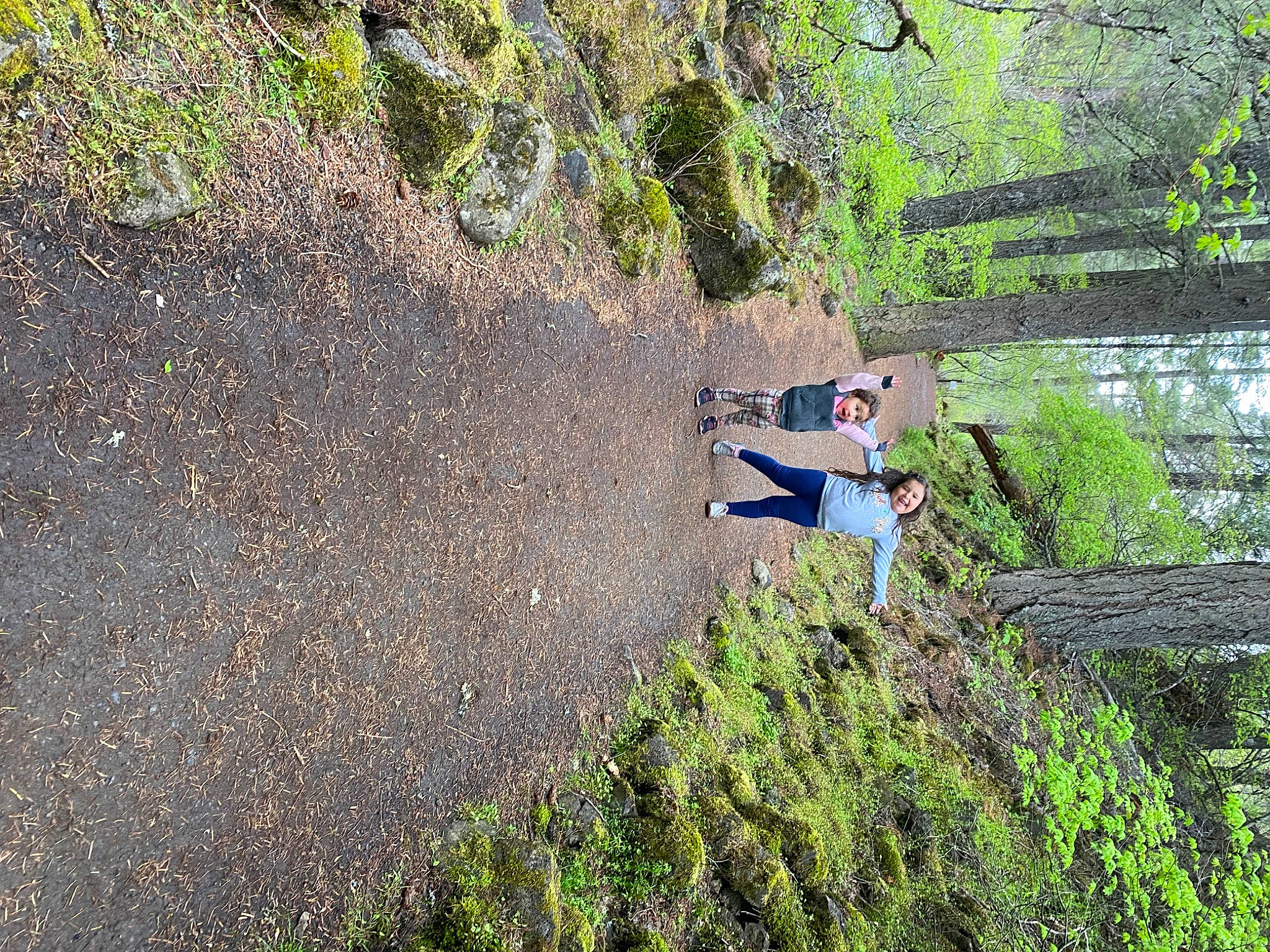 Camila joined the competition — help win amazing prizes! asphalt, forest, garden, grass, groundcover, joy, jungle, landscape, leisure, natural_landscape, people_in_nature, person, plant, recreation, road_surface, shadow, shrub, slope, soil, surprise