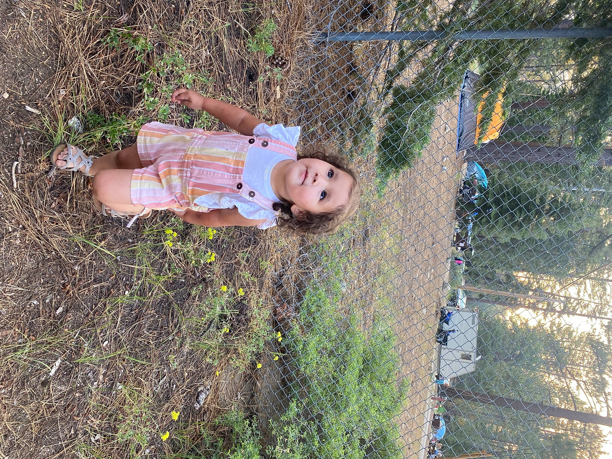 Jennifer is registered to the contest to win money with this photo: baby, baby_toddler_clothing, chain_link_fencing, child, fence, fun, grass, grassland, groundcover, happy, hat, landscape, leisure, mesh, people_in_nature, person, plant, soil, toddler, wire_fencing