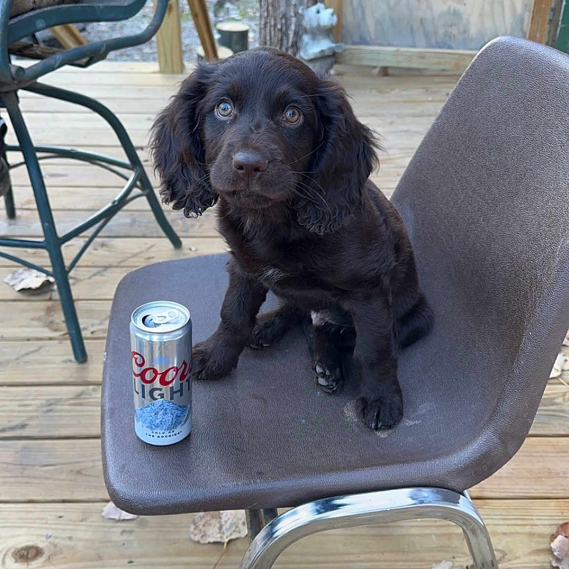 Milo