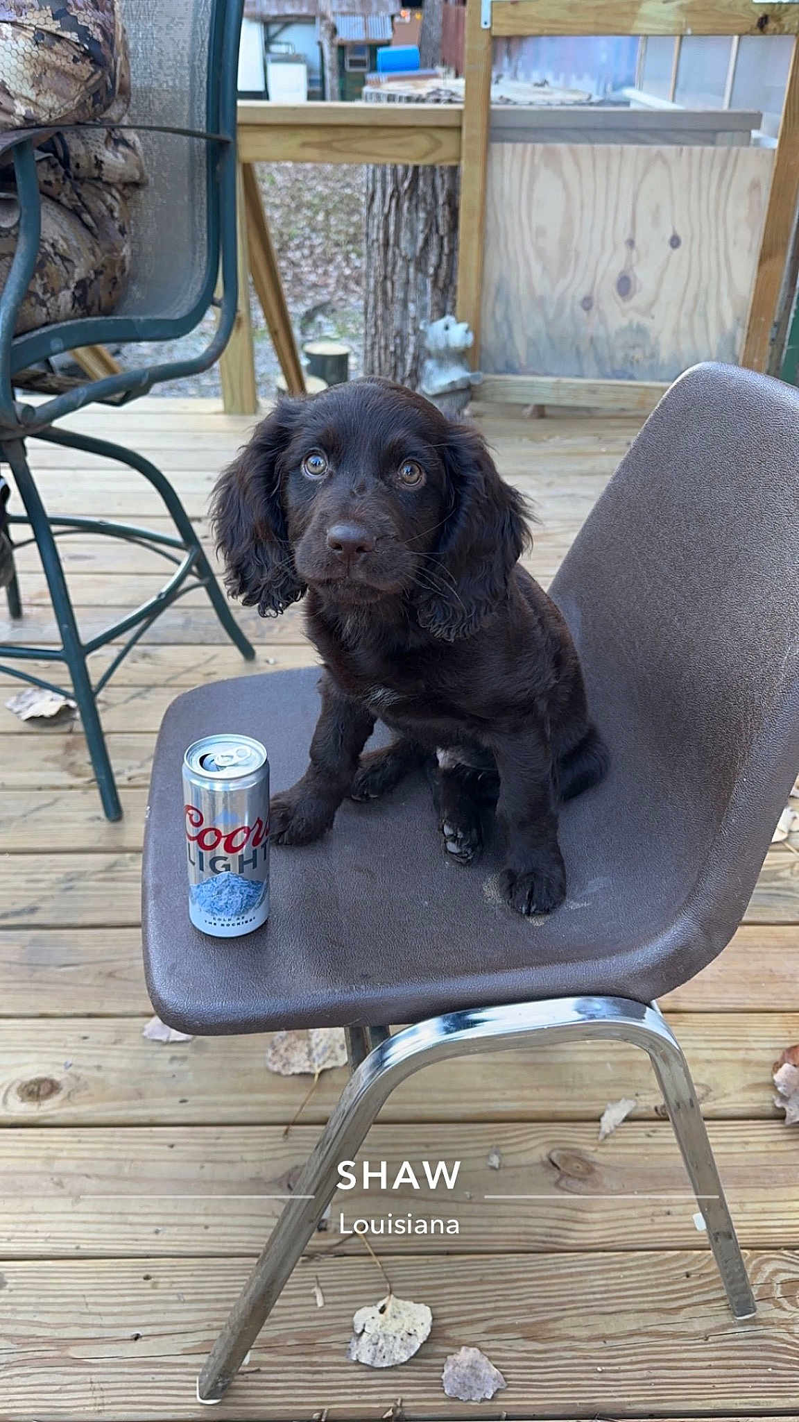 Milo