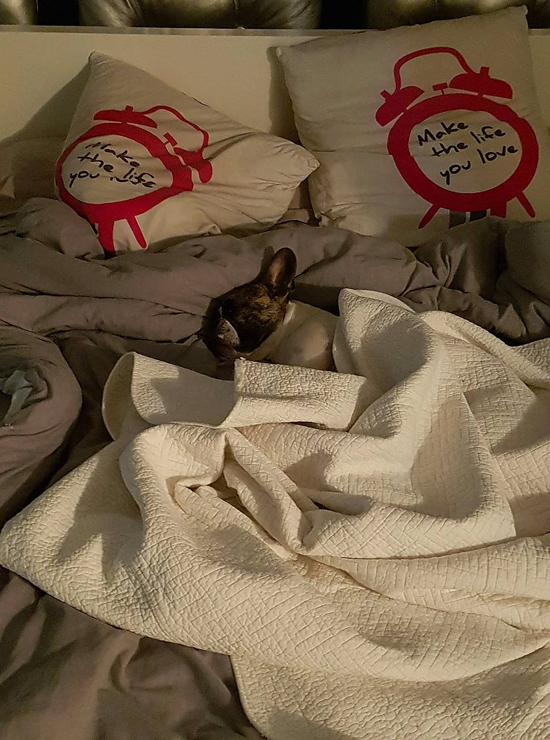 Hook a rejoint le concours — aidez-le/la à gagner de superbes lots ! bed_sheet, linens, paper, textile