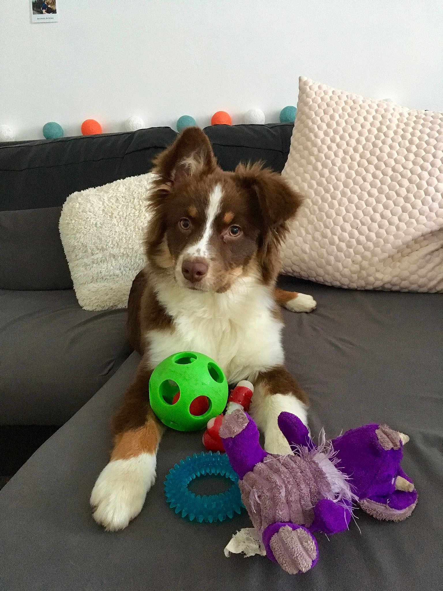 Ohana