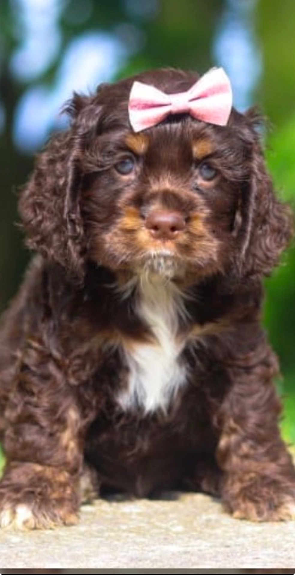 Maggie