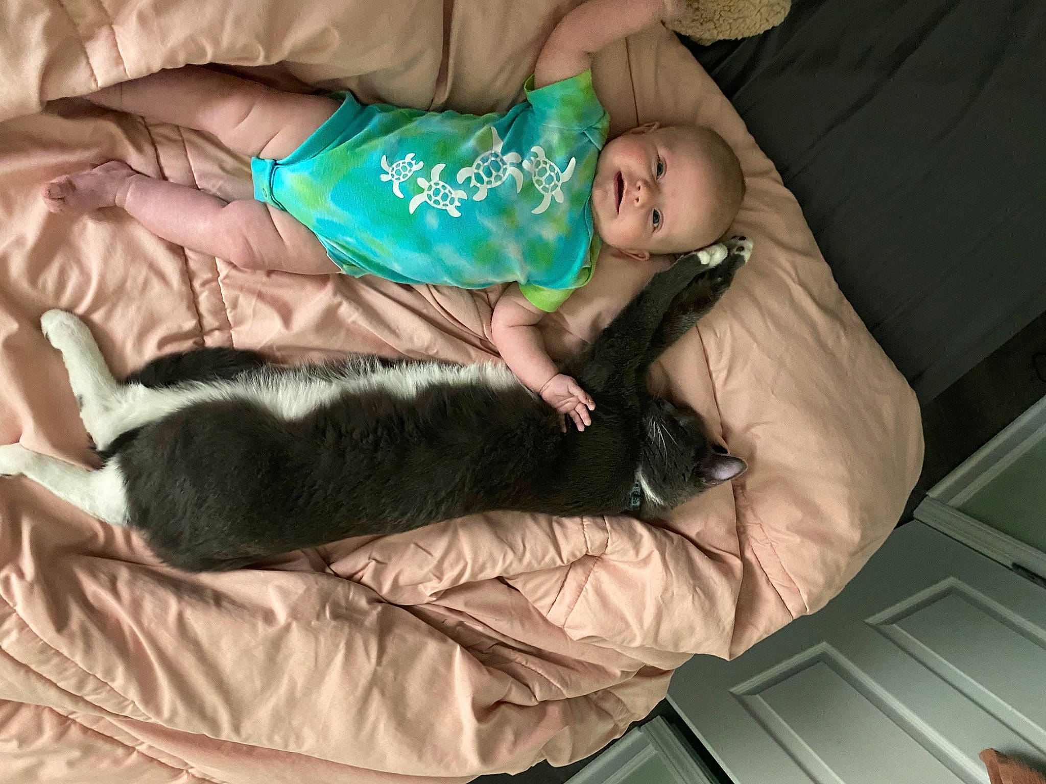 Aurora is registered to the contest to win money with this photo: baby, baby_toddler_clothing, carnivore, child, comfort, companion_dog, dog_breed, felidae, foot, fur, human_leg, lap, mammal, nap, person, room, sitting, sleep, small_to_medium_sized_cats, tail