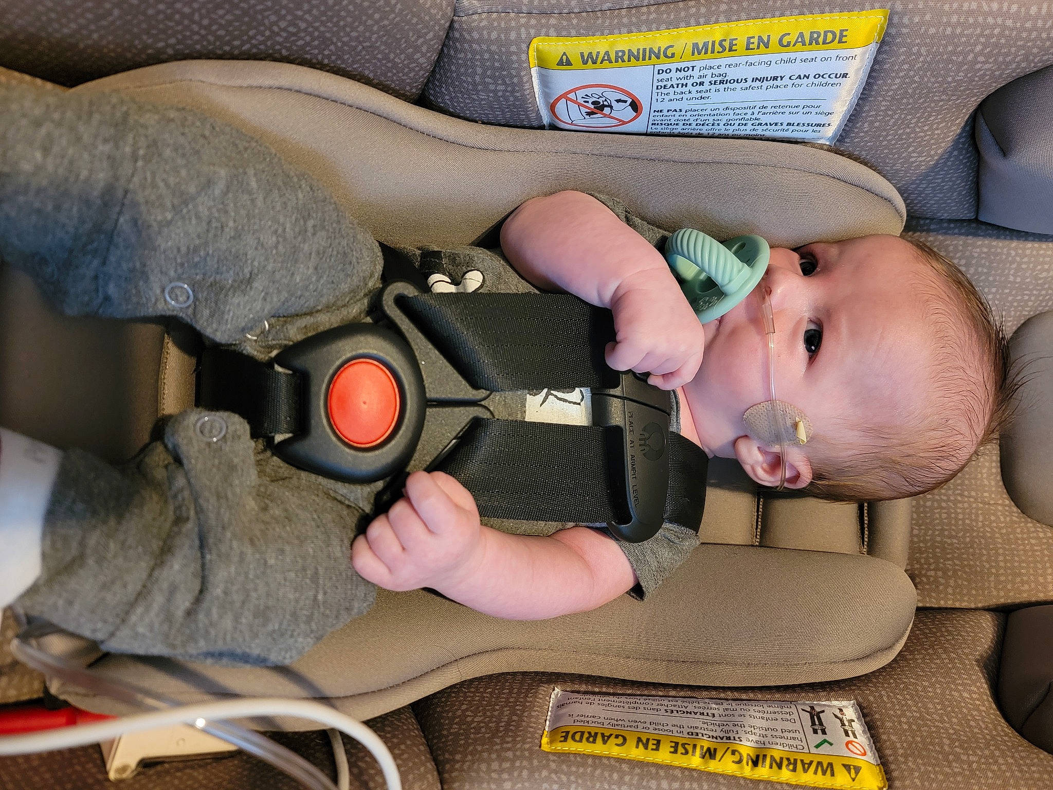 Koda joined the competition — help win amazing prizes! auto_part, baby, baby_carriage, baby_in_car_seat, baby_products, baby_toddler_clothing, car_seat, child, comfort, finger, hand, nail, person, personal_protective_equipment, product, seat_belt, sitting, thumb, toddler, toy