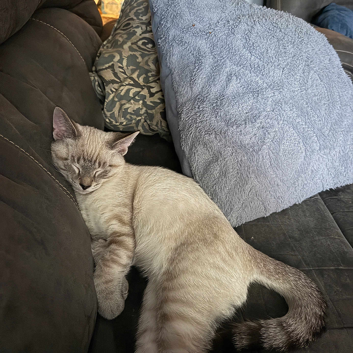 Jasper