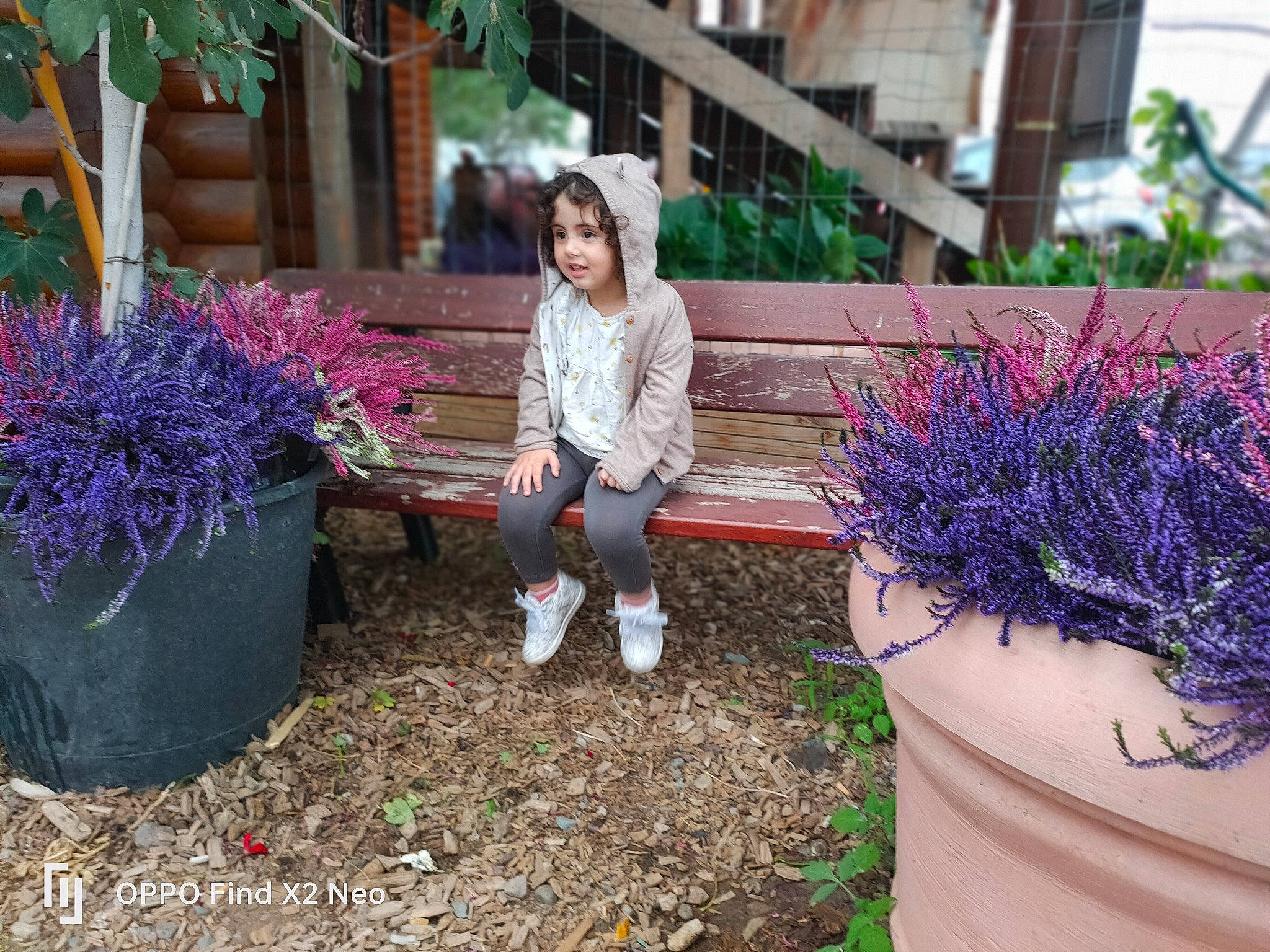 Maïssa a rejoint le concours — aidez-le/la à gagner de superbes lots ! annual_plant, botany, electric_blue, flower, flowerpot, garden, grass, grass_family, green, groundcover, landscape, landscaping, lavender, leisure, magenta, person, plant, purple, shrub, tree