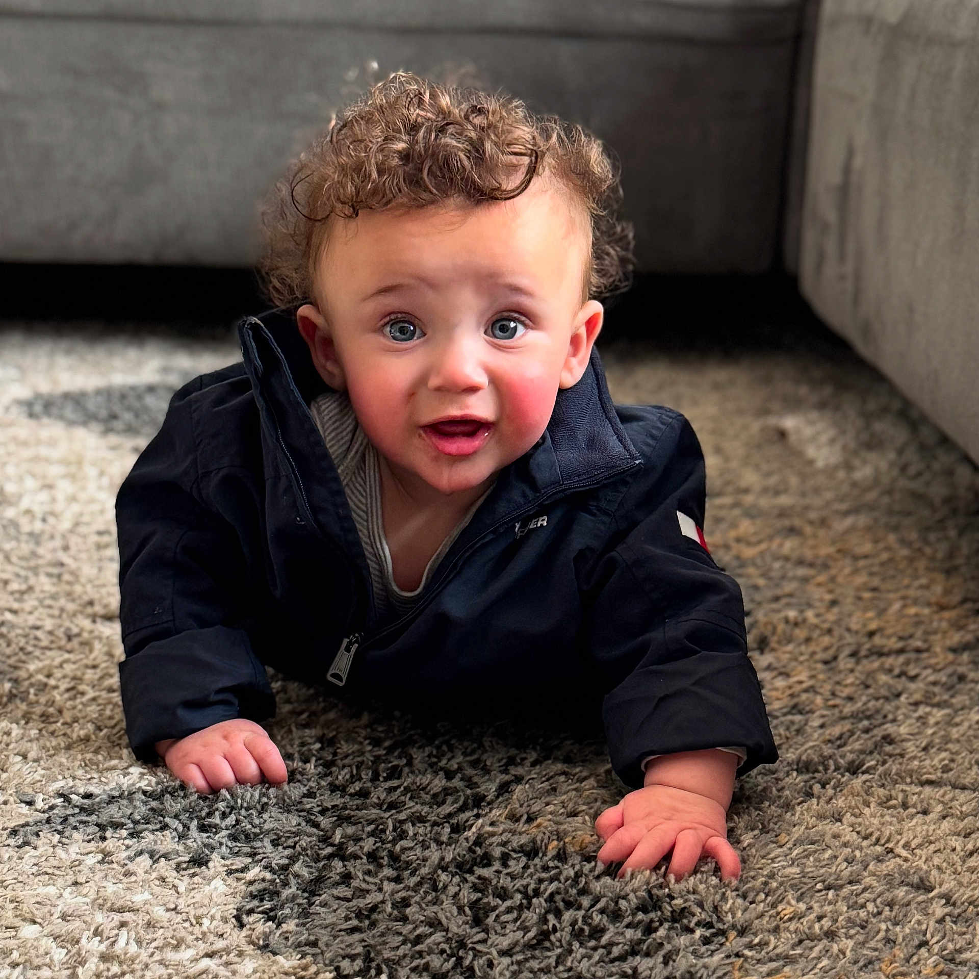 Dame is registered to the contest to win money with this photo: baby, carpet, child, clothing, crawling, curious, curly_hair, cute, expression, face, floor, hands, home, indoor, jacket, person, portrait, rosy_cheeks, toddler, young