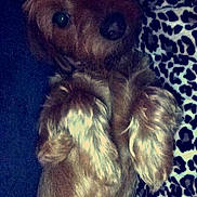 Riley is registered to the contest to win money with this photo: