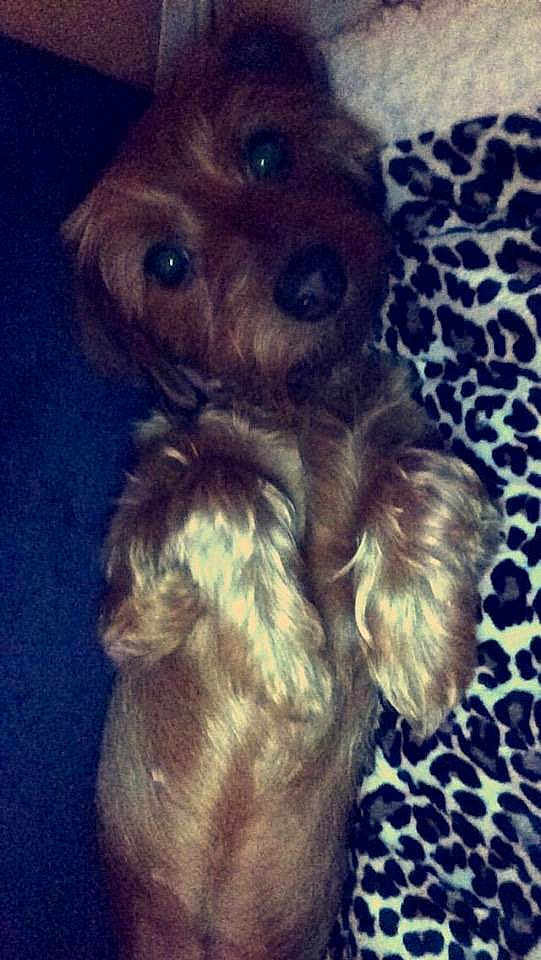 Riley