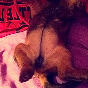 Riley Ann is registered to the contest to win money with this photo: