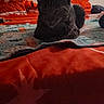 animal, bed, blanket, cat, comfort, cozy, domestic, feline, furniture, home, indoor, pattern, pet, quiet, red_bedspread, relaxed, resting, sleepy, soft_texture, warm_lighting
