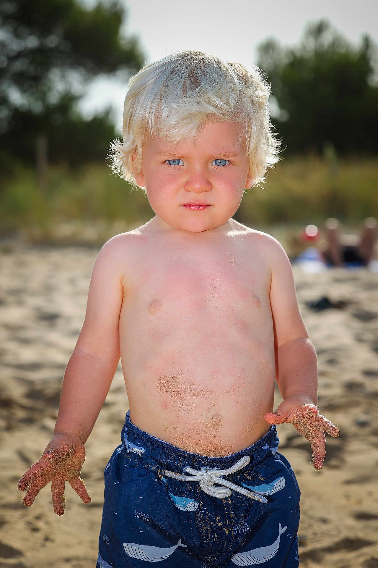 Aubin participe au concours pour gagner de l'argent avec cette photo : toddler, child, beach, sand, swim_trunks, blond_hair, blue_eyes, summer, outdoor, sunlight, bare_chest, hands, playing, portrait, person, vacation, nature, casual, young, fun