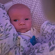 Harvey Joe joined the competition — help win amazing prizes! baby, newborn, infant, blanket, pacifier, wrapped, face, eyes, sleepwear, bed, pattern, leaf, curious, soft, indoors, child, cute, portrait, cozy, resting