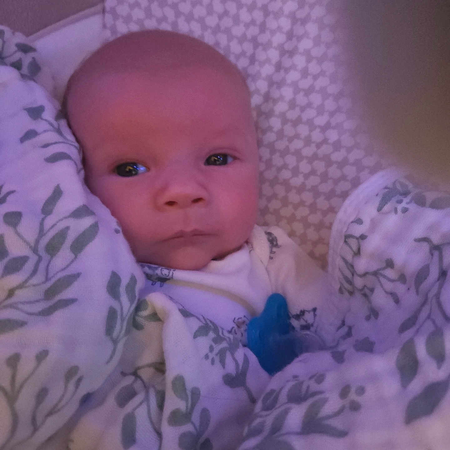 Harvey Joe