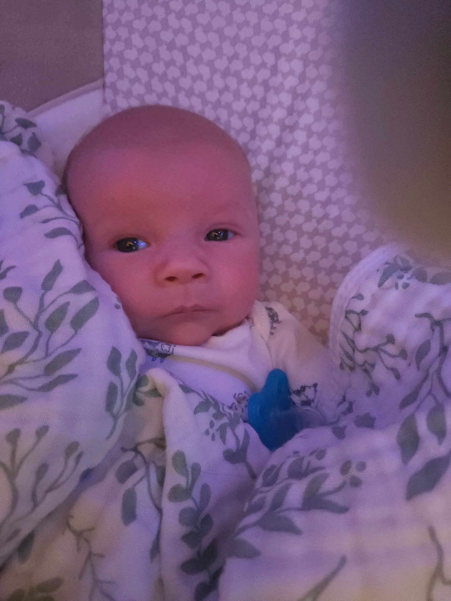 Harvey Joe joined the competition — help win amazing prizes! baby, newborn, infant, blanket, pacifier, wrapped, face, eyes, sleepwear, bed, pattern, leaf, curious, soft, indoors, child, cute, portrait, cozy, resting