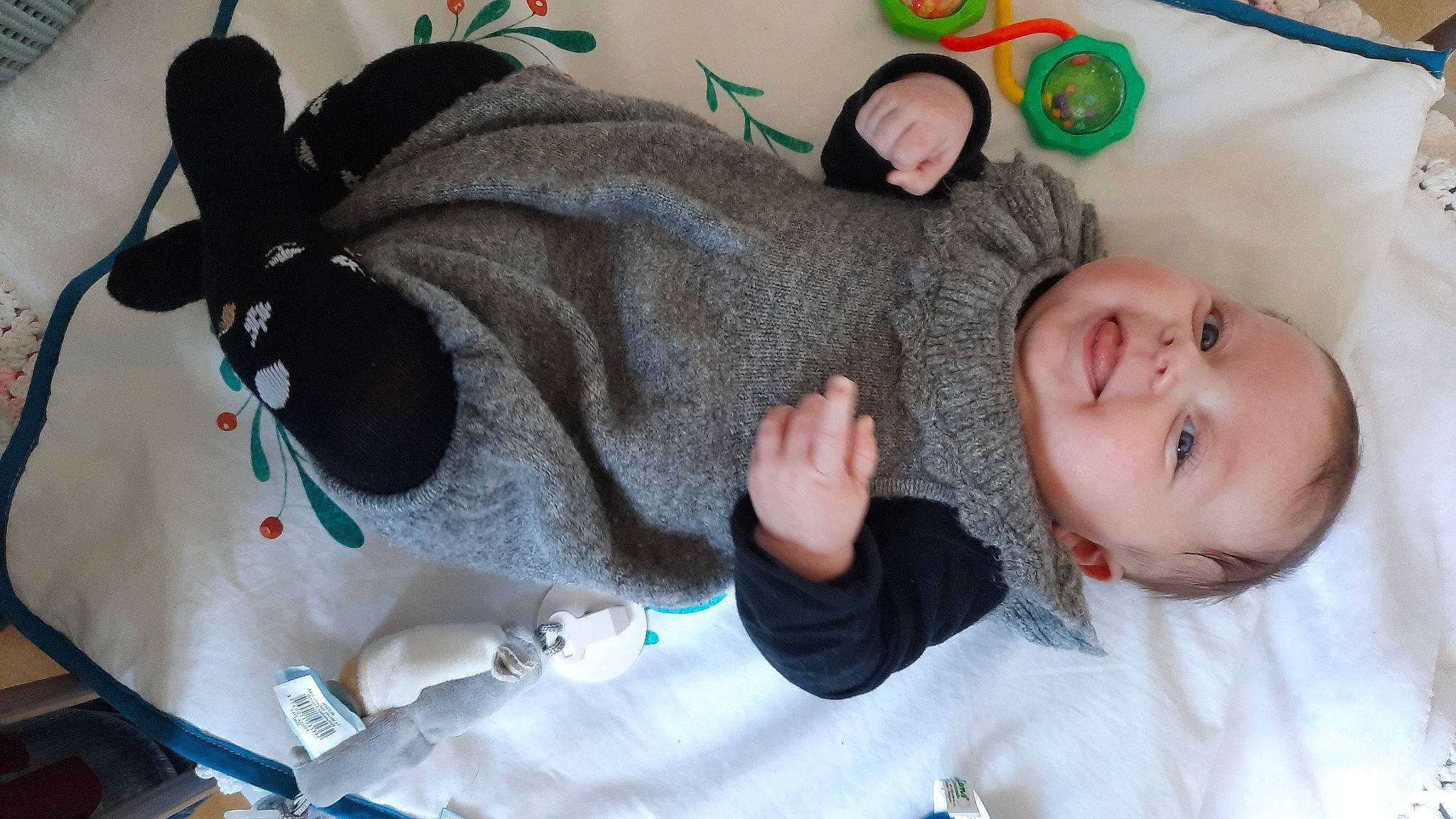 Gaby participe au concours pour gagner de l'argent avec cette photo : baby, comfort, dog_breed, ear, eyewear, fashion_accessory, fawn, fun, fur, gesture, happy, person, plush, sleeve, smile, snout, stuffed_toy, sunglasses, toddler, wool