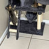 cat, kitten, tabby, animal, pet, climbing, cat_tree, scratching_post, indoor, home, furniture, playful, curious, striped_fur, whiskers, ears, tail, platform, rope, tile_floor