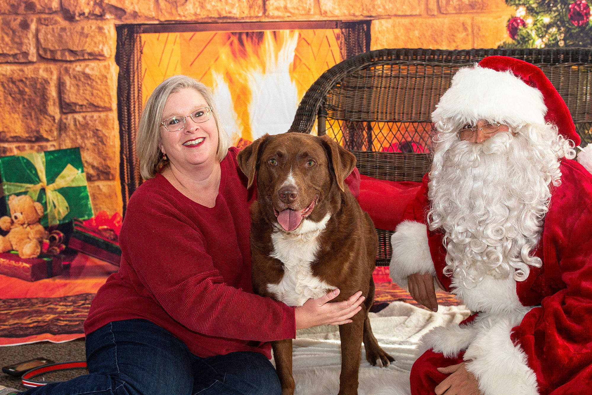 Rocko is registered to the contest to win money with this photo: beard, carnivore, christmas, christmas_eve, companion_dog, dog, dog_breed, event, fun, fur, green, happy, holiday, lap, picture_frame, santa_claus, smile, sporting_group, tradition, tree